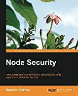 node-security